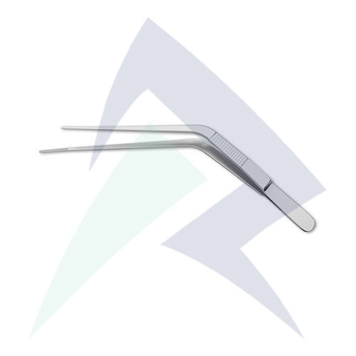 Blake Endaural Forceps